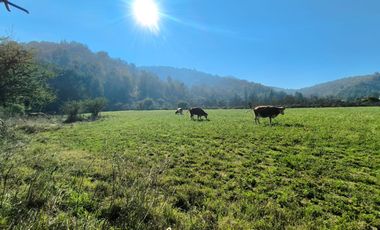 PREDIO EN LAS CABRAS DE 93 HECTAREAS