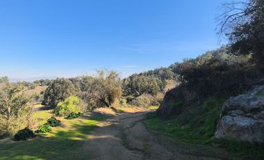 PREDIO EN LAS CABRAS DE 93 HECTAREAS