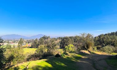 PREDIO EN LAS CABRAS DE 93 HECTAREAS