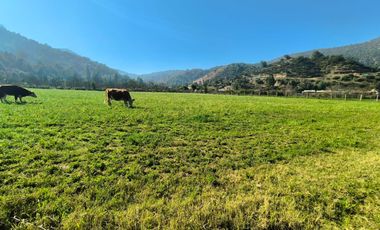 PREDIO EN LAS CABRAS DE 93 HECTAREAS