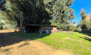 PREDIO EN LAS CABRAS DE 93 HECTAREAS