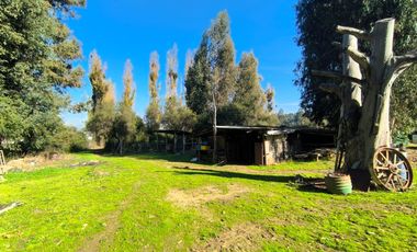 PREDIO EN LAS CABRAS DE 93 HECTAREAS