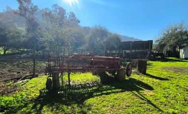 PREDIO EN LAS CABRAS DE 93 HECTAREAS