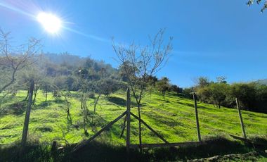 PREDIO EN LAS CABRAS DE 93 HECTAREAS
