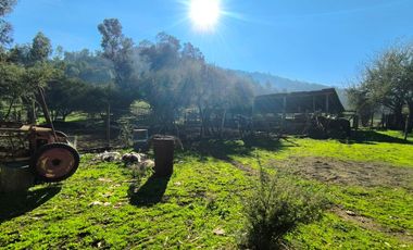 PREDIO EN LAS CABRAS DE 93 HECTAREAS