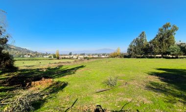 PREDIO EN LAS CABRAS DE 93 HECTAREAS