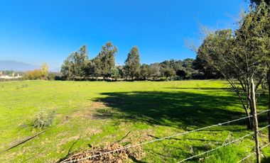 PREDIO EN LAS CABRAS DE 93 HECTAREAS