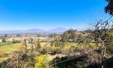 PREDIO EN LAS CABRAS DE 93 HECTAREAS