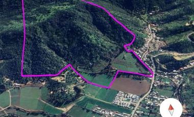 PREDIO EN LAS CABRAS DE 93 HECTAREAS