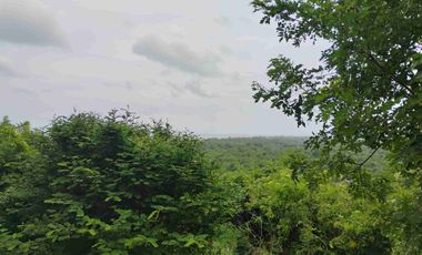 Terreno en la entrada de VENTANILLA  OAXACA de 30 x 25 Metros.