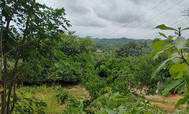 Terreno en la entrada de VENTANILLA  OAXACA de 30 x 25 Metros.