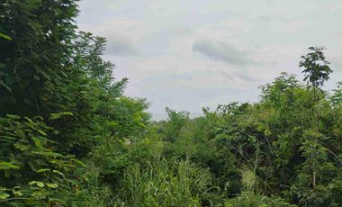 Terreno en la entrada de VENTANILLA  OAXACA de 30 x 25 Metros.