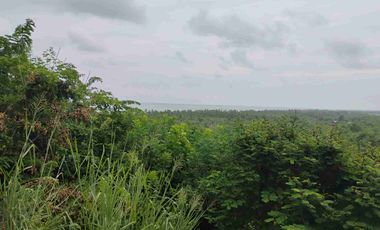 Terreno en la entrada de VENTANILLA  OAXACA de 30 x 25 Metros.