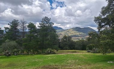 CABAÑA EN VENTA EN AMEALCO QUERETARO