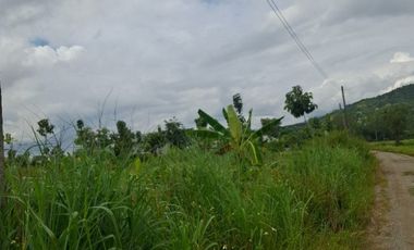 ขายที่ดิน มี 2 แปลง เนื้อที่รวม 4 ไร่ 2 งาน 15 ตร.วา เทิง เชียงราย