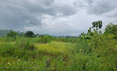 ขายที่ดิน มี 2 แปลง เนื้อที่รวม 4 ไร่ 2 งาน 15 ตร.วา เทิง เชียงราย