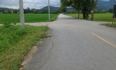 ขายที่ดิน มี 2 แปลง เนื้อที่รวม 4 ไร่ 2 งาน 15 ตร.วา เทิง เชียงราย