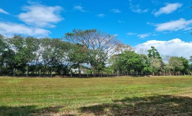 🏡 Stylish House & Lot | Manila Southwoods, Biñan, Laguna