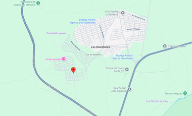 OA CASA EN VENTA LOS RUISEÑORES, TALA, JALISCO