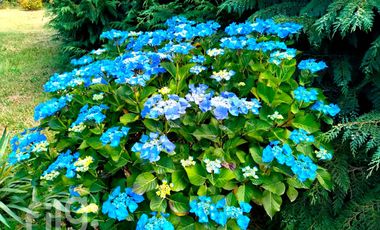 Oportunidad Hermosa Casa Parcelación Privada, Puerto Montt