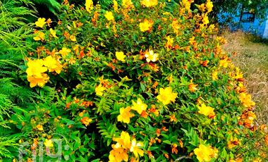 Oportunidad Hermosa Casa Parcelación Privada, Puerto Montt