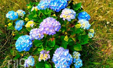 Oportunidad Hermosa Casa Parcelación Privada, Puerto Montt