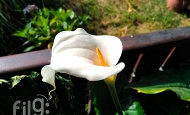 Oportunidad Hermosa Casa Parcelación Privada, Puerto Montt