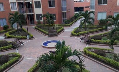 La nueva etapa de tu vida te espera en Ibagué