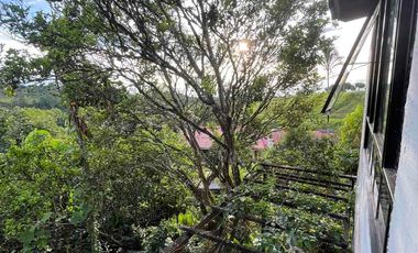 Vendo Finca por la Av. Condina