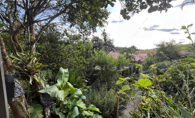 Vendo Finca por la Av. Condina