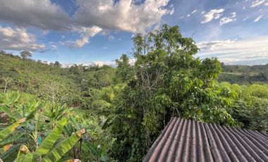 Vendo Finca por la Av. Condina