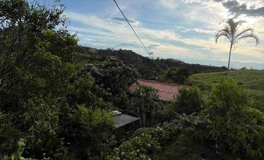 Vendo Finca por la Av. Condina