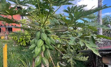 Vendo Finca por la Av. Condina
