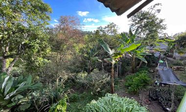 Vendo Finca por la Av. Condina