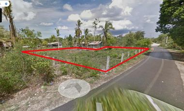 Residential Lot for Sale – Near Beach Access in Songculan, Dauis, Panglao Island, Bohol