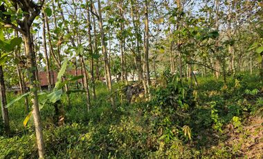 Tanah dijual di Kebonsari, Kalicacing, Salatiga, Jawa Tengah