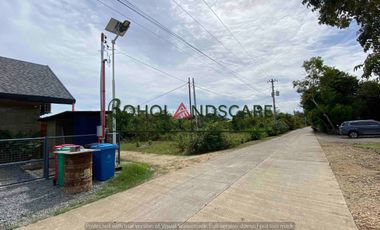 Modern Tropical Villa with Pool For Sale in Panglao Island, Bohol