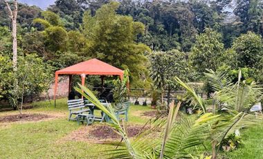 Venta de Hosteria con locales comerciales en Rio Negro-Baños