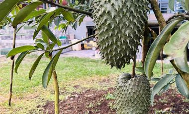 Venta de Hosteria con locales comerciales en Rio Negro-Baños