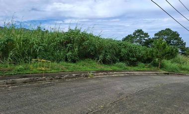 585 square meters Lot for Sale in Pinewoods Subdivision
