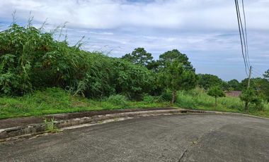 585 square meters Lot for Sale in Pinewoods Subdivision