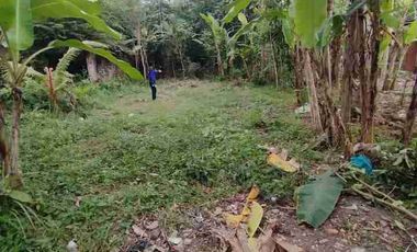 LUAS TANAH INVESTASI 742M2 TRENGGALEK JATIM