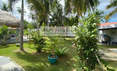House & Lot for Sale in Bolod, Panglao, Bohol – Spacious Tropical Living with Pool & Solar Power