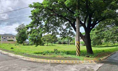 PRIME BIG CORNER LOT FOR SALE AUGUSTIN GROVE DASMARIÑAS CAVITE