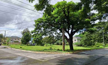 PRIME BIG CORNER LOT FOR SALE AUGUSTIN GROVE DASMARIÑAS CAVITE