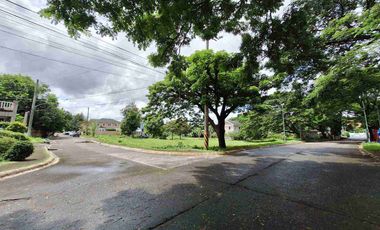 PRIME BIG CORNER LOT FOR SALE AUGUSTIN GROVE DASMARIÑAS CAVITE