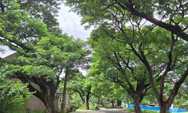 PRIME BIG CORNER LOT FOR SALE AUGUSTIN GROVE DASMARIÑAS CAVITE