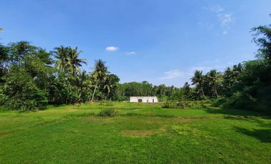 Sentolo; Tanah Murah Siap Bangun; SHM