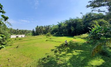 Sentolo; Tanah Murah Siap Bangun; SHM