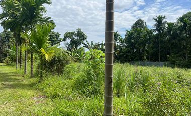 Rumah Mewah Type Klasik Kota Jambi